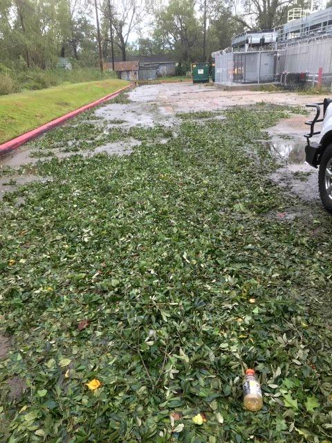 Hurricane Laura damage